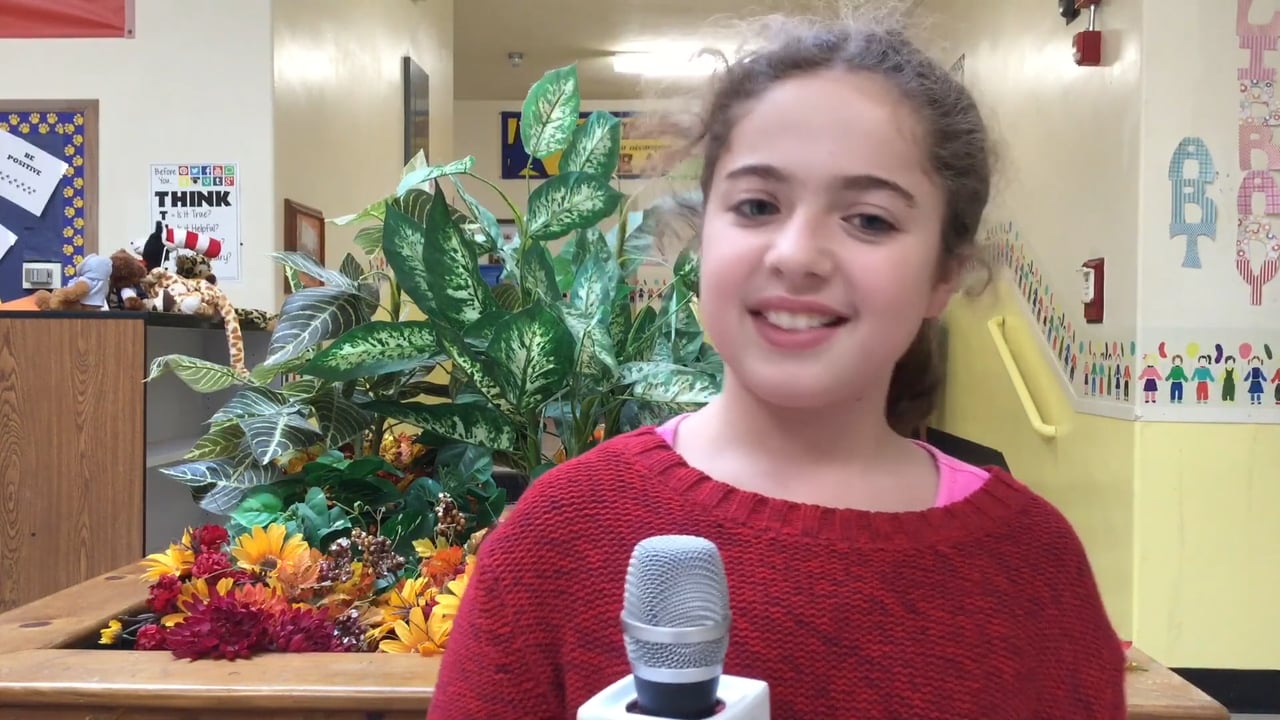 Mulan cold spring elementary school plymouth edtv
